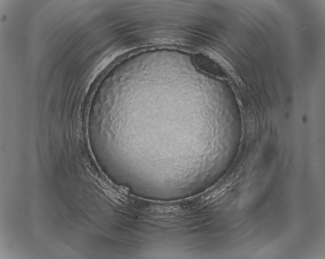 X0000067341023200604131720