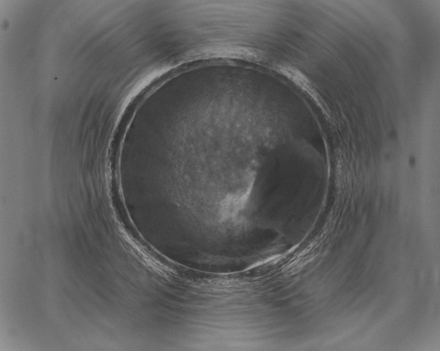 X0000067341024200604131720