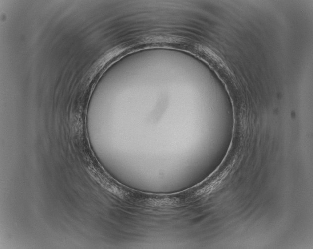 X0000067341025200604131720