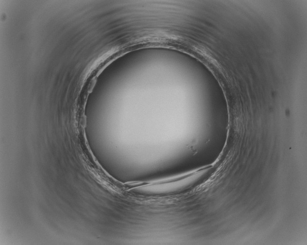 X0000067341026200604131720