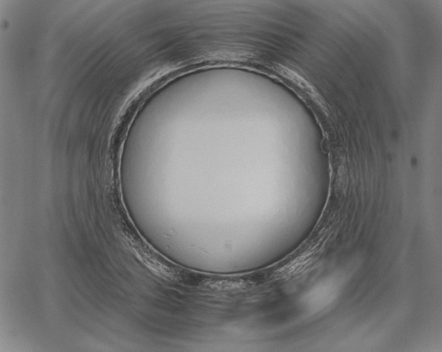 X0000067341027200604131720