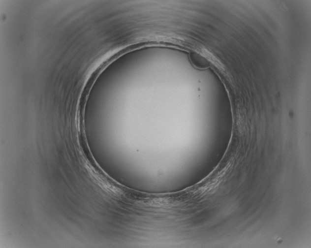 X0000067341028200604131720