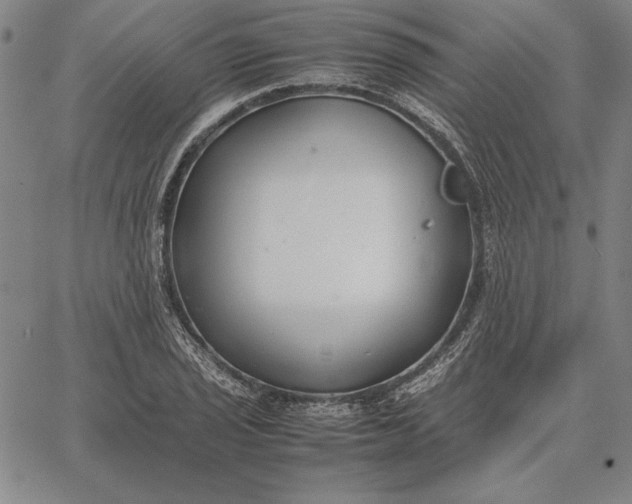 X0000067341029200604131720