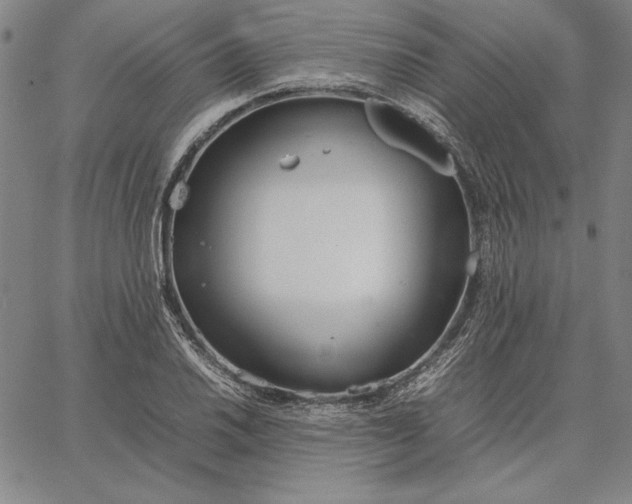 X0000067341030200604131720