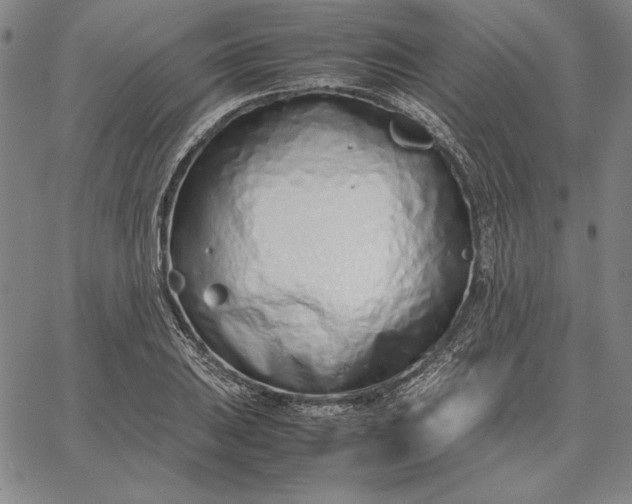 X0000067341031200604131720