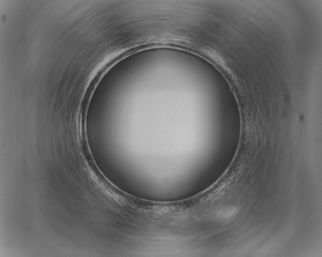 X0000067341032200604131720