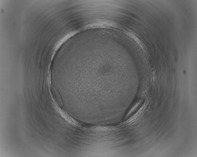 X0000067341034200604131720