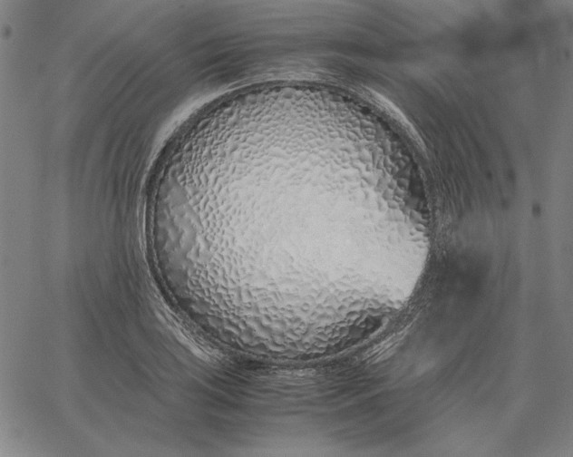 X0000067341035200604131720