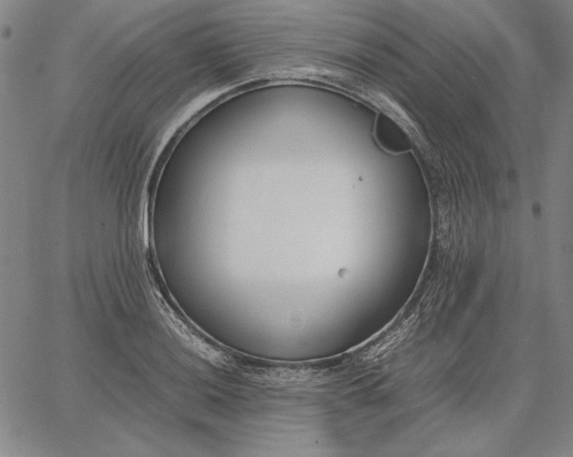 X0000067341036200604131720