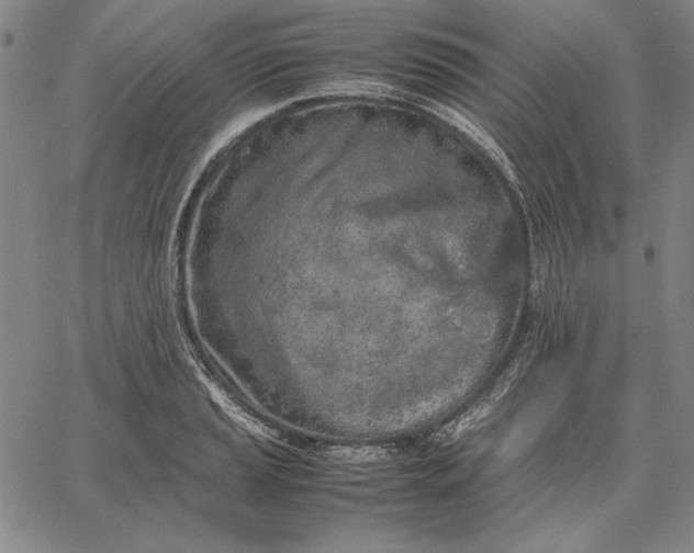 X0000067341037200604131720