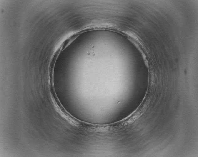 X0000067341038200604131720