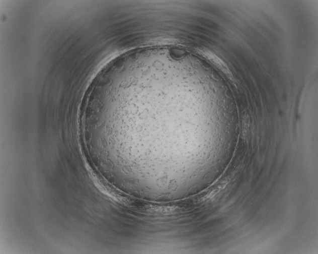 X0000067341039200604131721