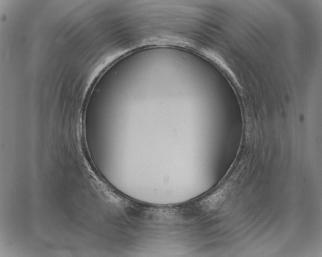 X0000067341040200604131721