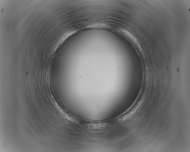 X0000067341041200604131721