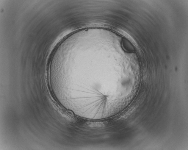 X0000067341043200604131721