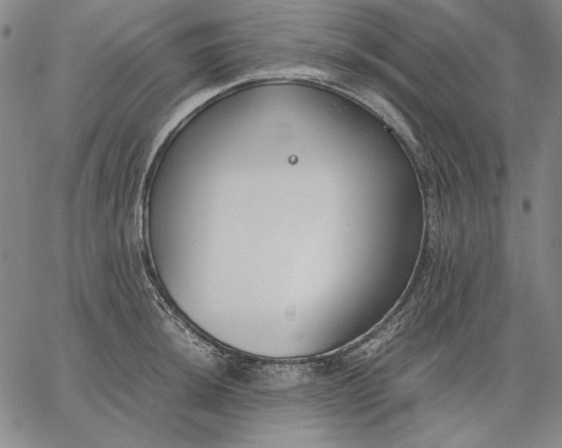 X0000067341044200604131721