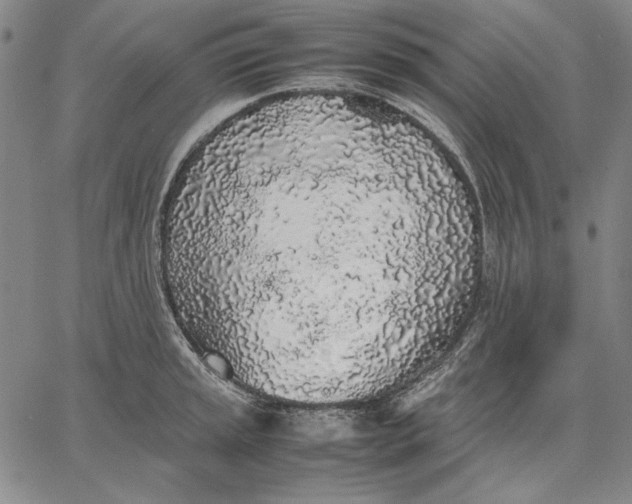 X0000067341045200604131721