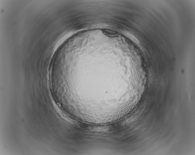 X0000067341047200604131721