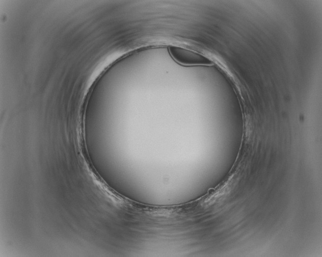 X0000067341048200604131721