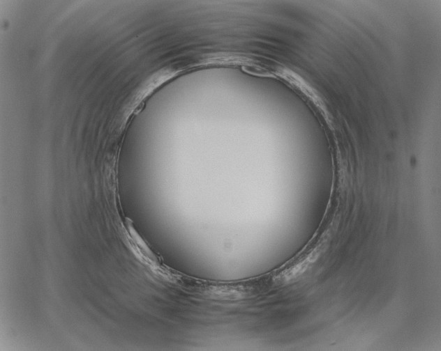 X0000067341049200604131721