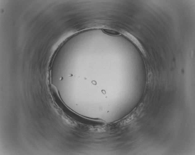 X0000067341051200604131721