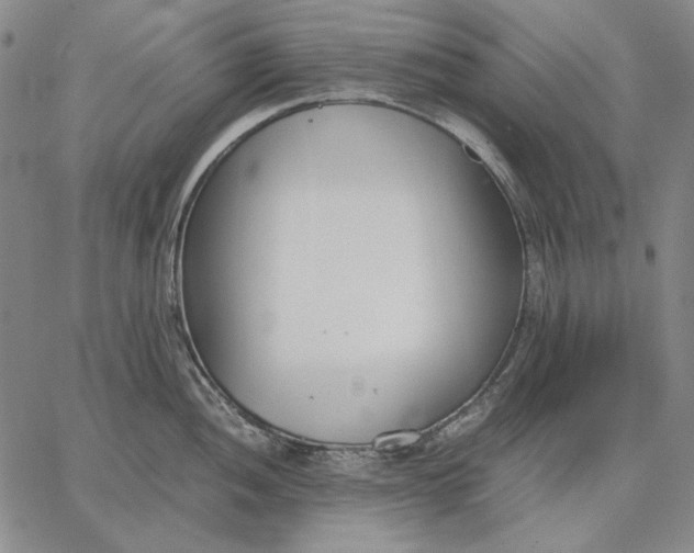 X0000067341052200604131721