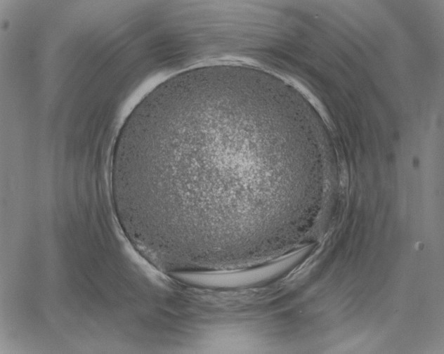 X0000067341054200604131721