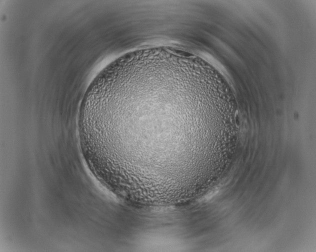 X0000067341055200604131721