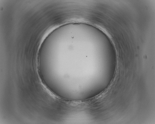 X0000067341056200604131721