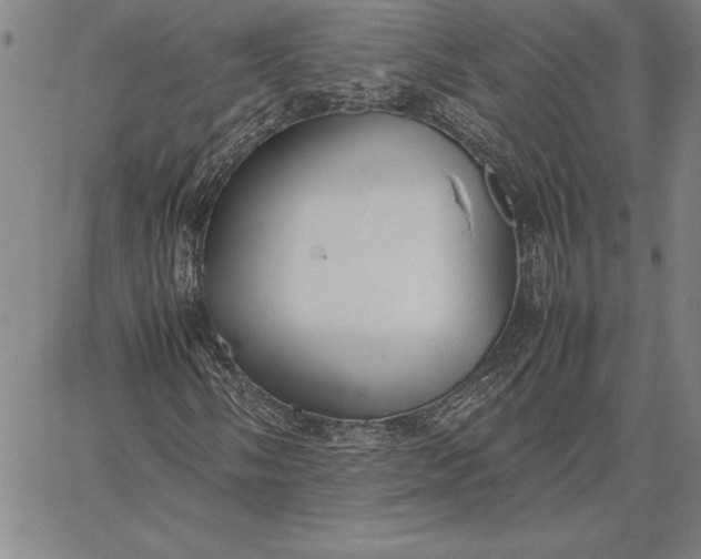 X0000067341058200604131720