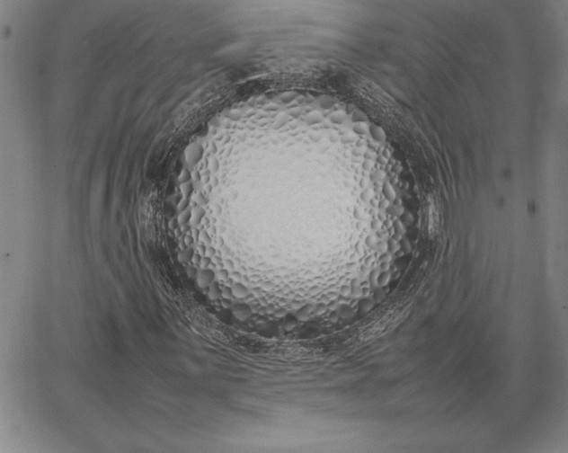 X0000067341059200604131720