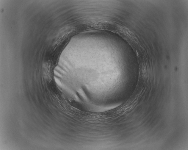 X0000067341060200604131720