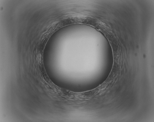 X0000067341061200604131720