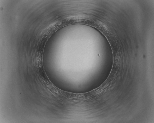 X0000067341062200604131720