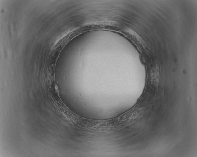 X0000067341064200604131720