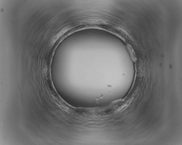 X0000067341065200604131720