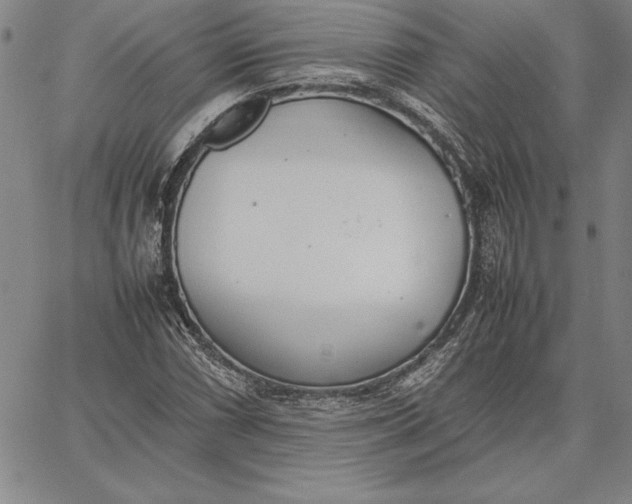 X0000067341066200604131720