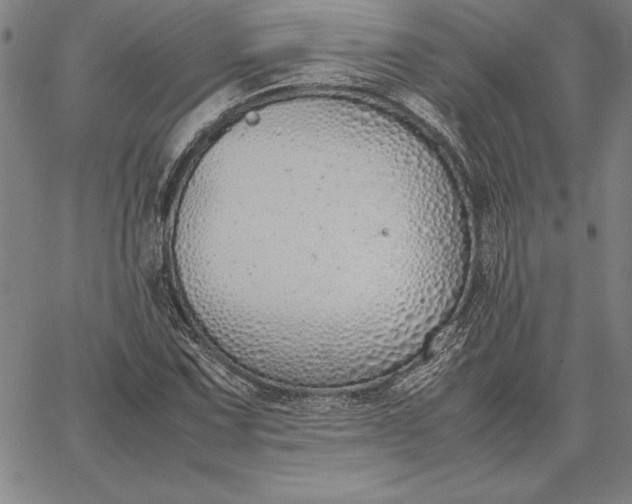 X0000067341067200604131720