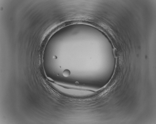 X0000067341069200604131720