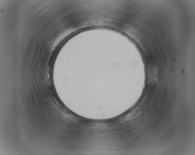 X0000067341070200604131720