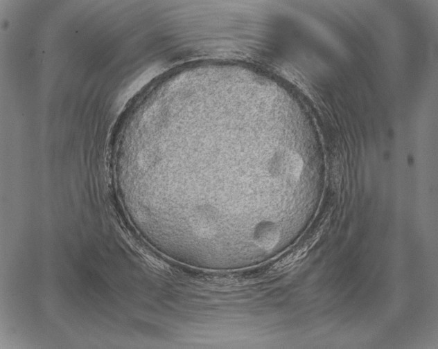 X0000067341071200604131720