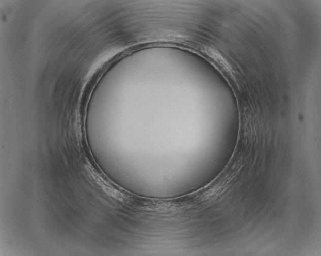 X0000067341072200604131720