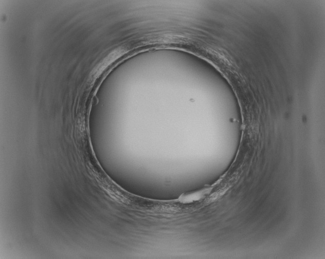 X0000067341073200604131720