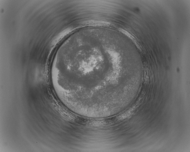 X0000067341074200604131720