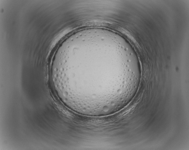 X0000067341075200604131720