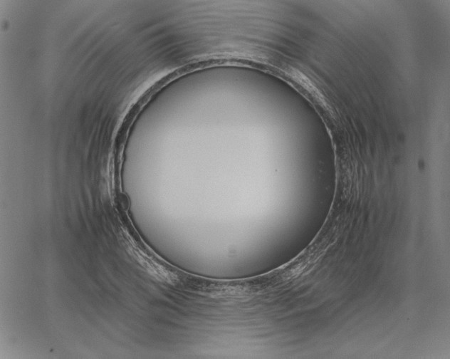 X0000067341076200604131720