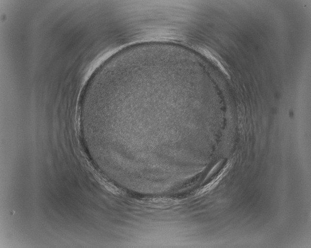 X0000067341077200604131720