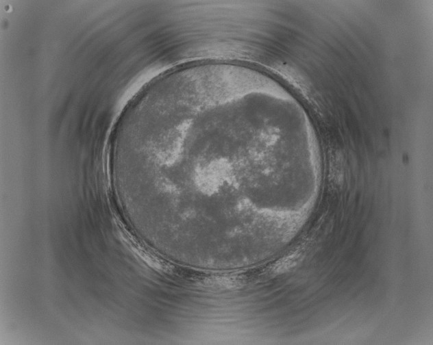 X0000067341078200604131720