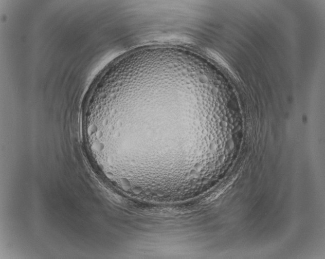 X0000067341079200604131720