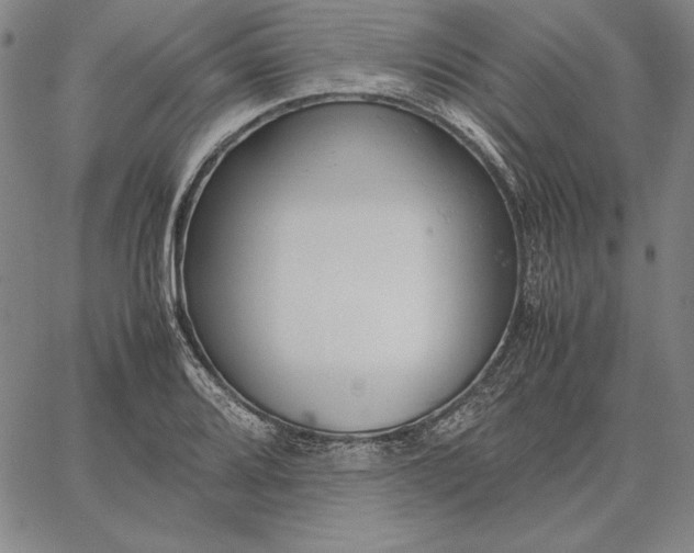 X0000067341080200604131720